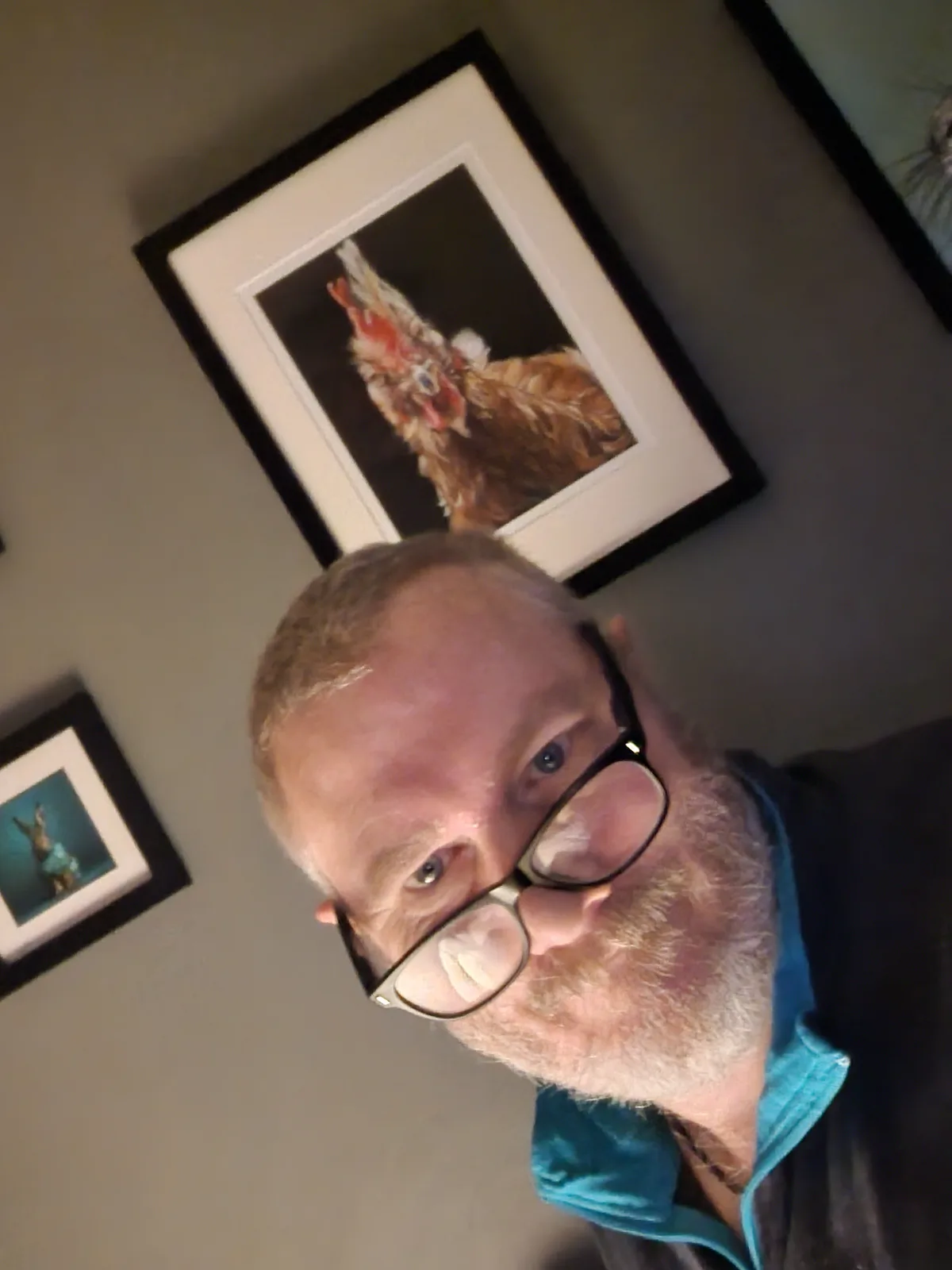 A man with glasses and a beard looks at the camera from a tilted angle, with framed pictures of chickens hanging on the wall…