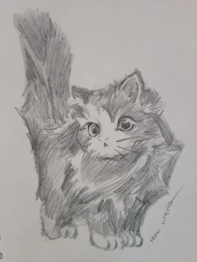 A pencil sketch of a fluffy, wide-eyed cat with an extremely long, vertically raised tail that dominates the image. The cat…