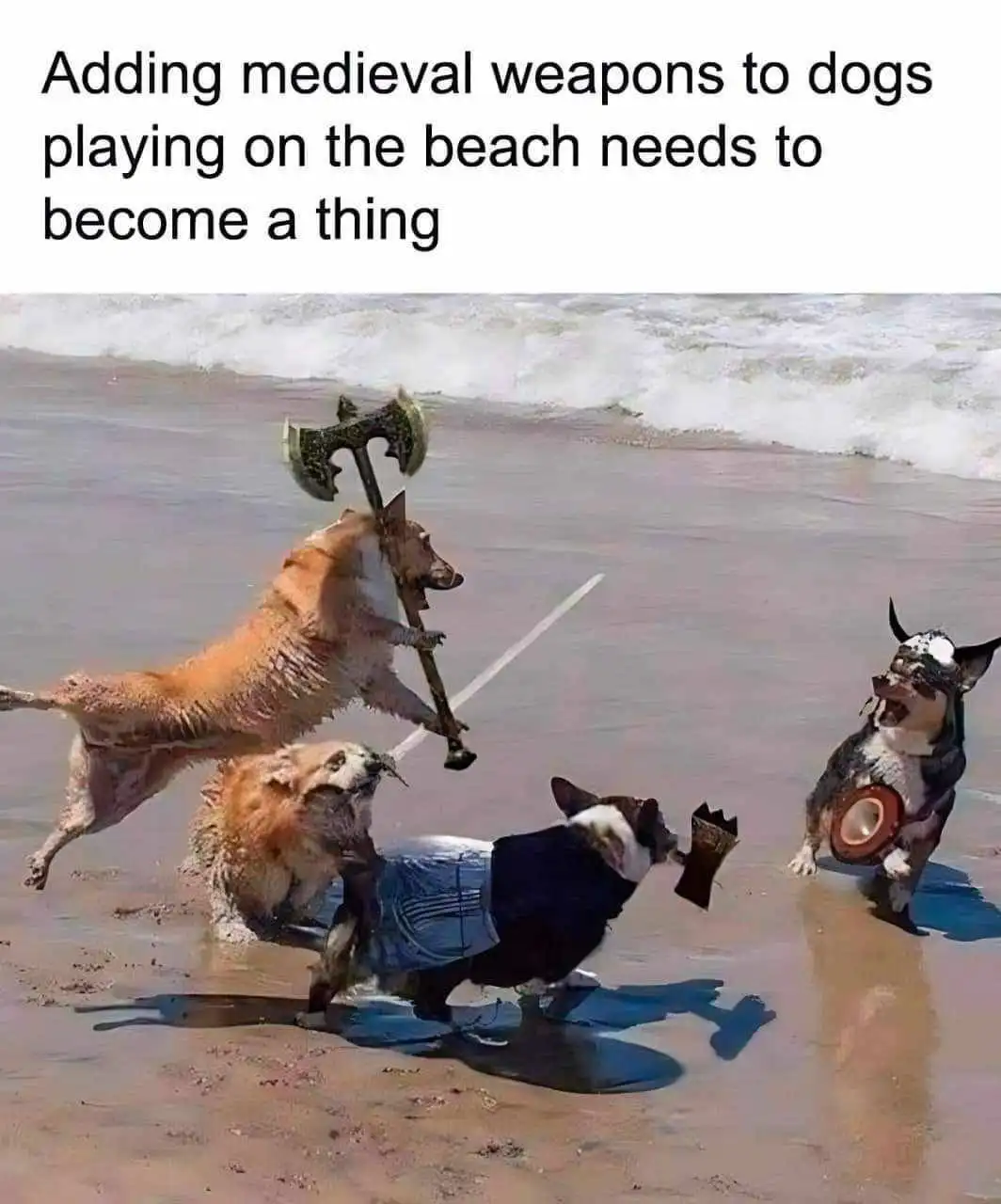 Four dogs are on a beach near the water, each wearing or holding medieval-style weapons like axes, swords, and shields. One…