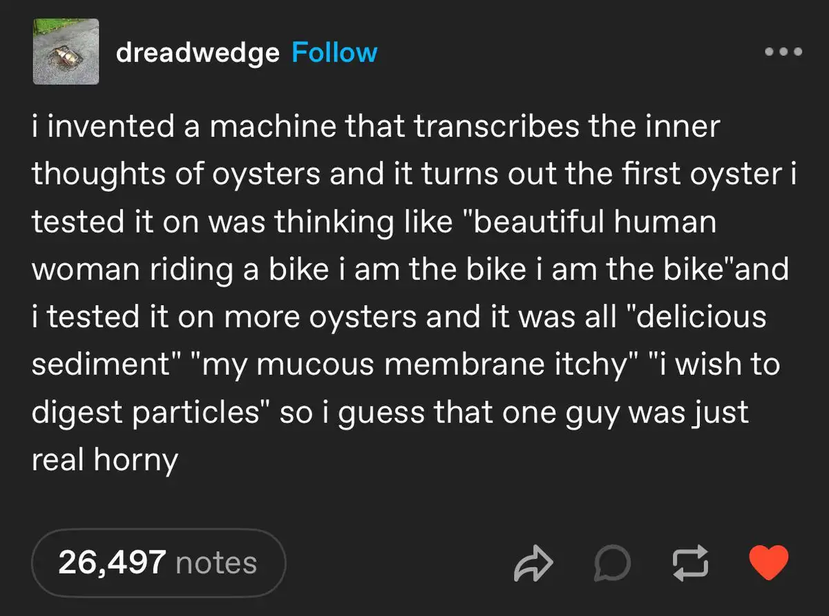 Delving into the Minds of Oysters: A Reading Adventure
