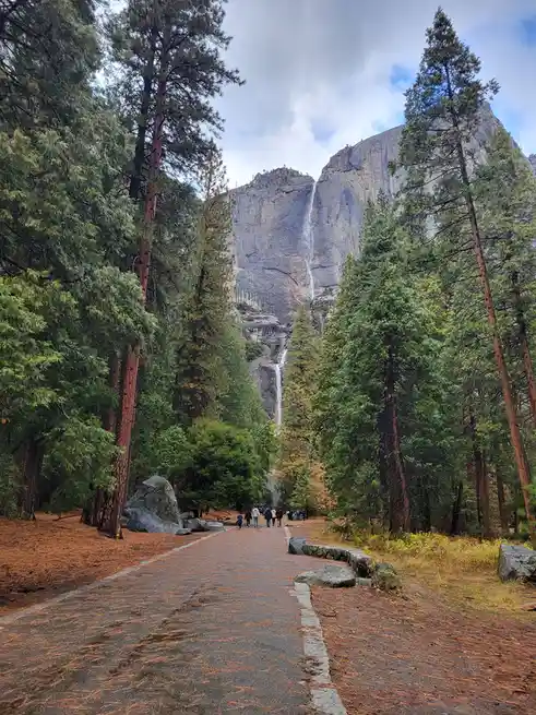 A scenic view of a paved trail in a forest leading toward a tall waterfall cascading down a granite cliff, with tall pine…