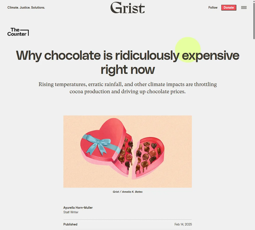 A screenshot of a Grist news article titled 'Why chocolate is ridiculously expensive right now' features an illustration of…