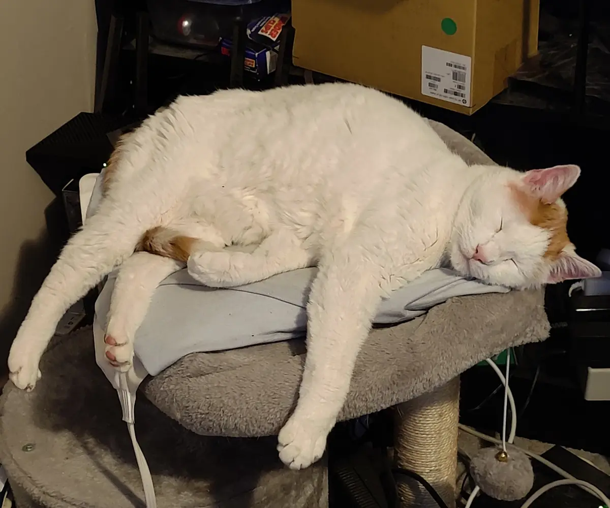 A white and orange cat is sleeping soundly on a gray cat tree platform, its body stretched out with limbs dangling over the…