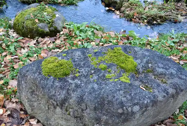 A large, gray, moss-covered rock sits beside a stream, with patches of green moss growing on its surface. The overlaid text…