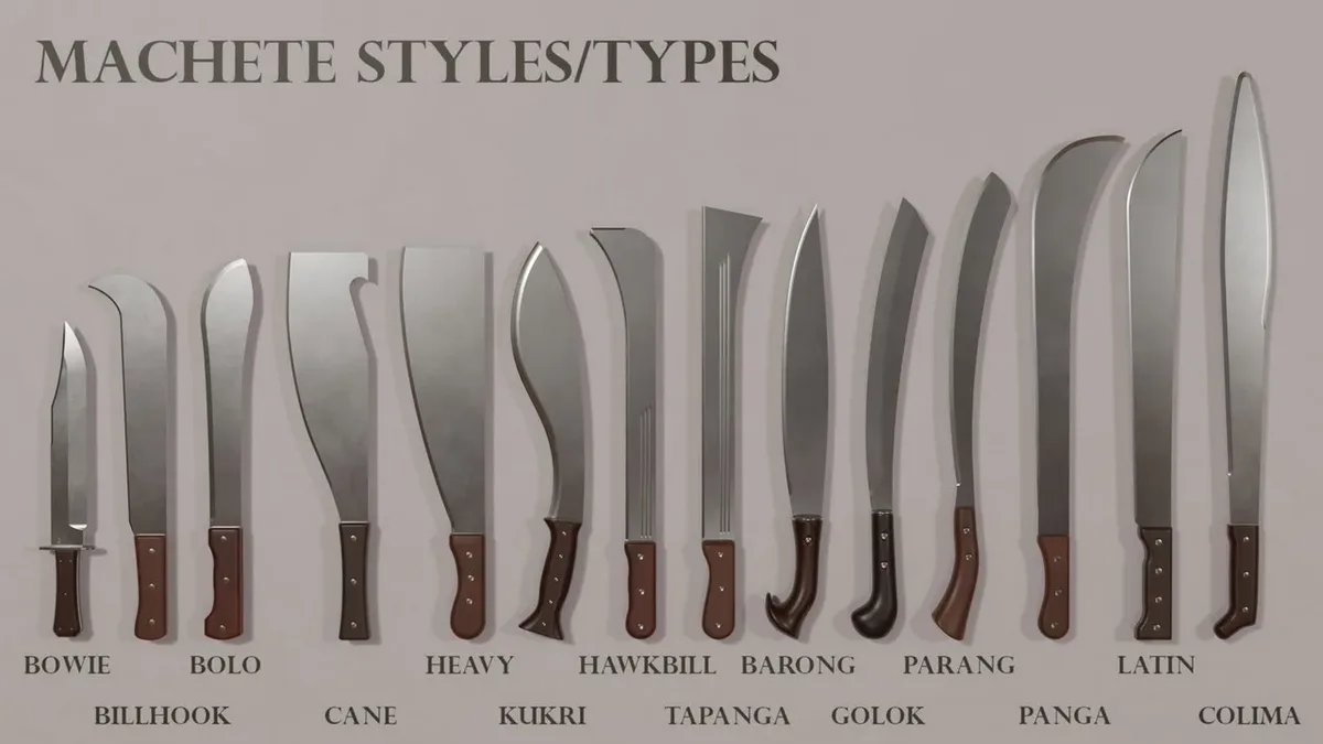 An infographic displays a row of various machetes, each labeled with its specific type such as Bowie, Bolo, Heavy, and…