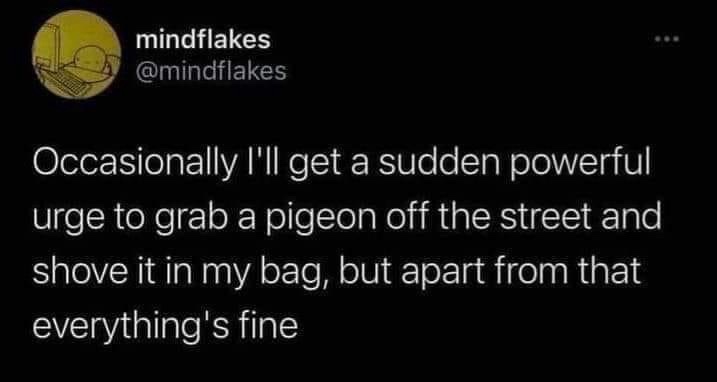 A screenshot of a tweet from the account 'mindflakes' with a black background and white text. The text reads: 'Occasionally…