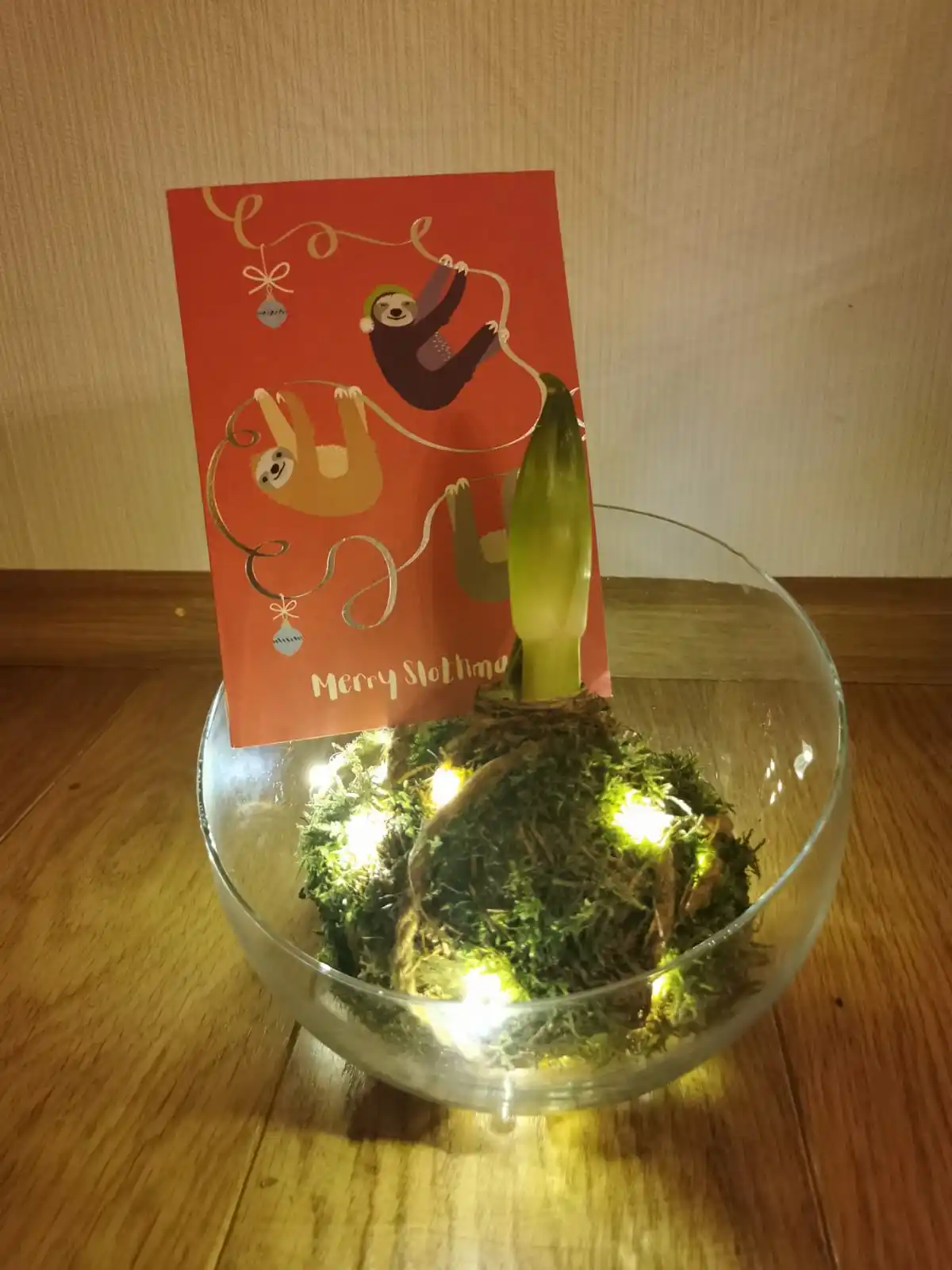 A festive red Christmas card featuring cartoon sloths and ornaments is stuck upright in a glass bowl containing moss, fairy…