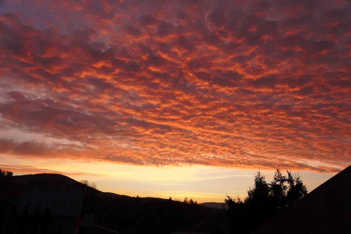 A dramatic sky filled with fiery orange and red clouds at sunset or sunrise, with silhouettes of trees and rooftops visible…