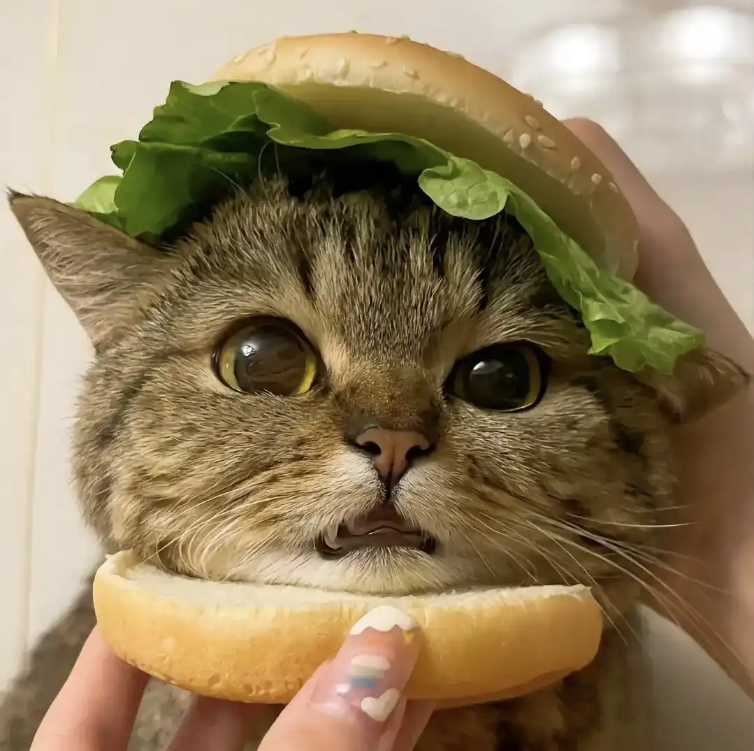The Legendary Catburger