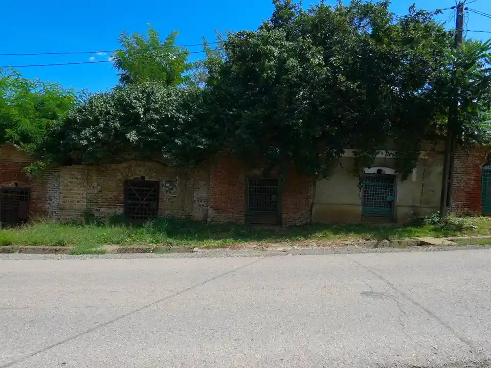 A photo of a weathered brick wall with several barred doors, partially obscured by overgrown green trees under a clear blue…