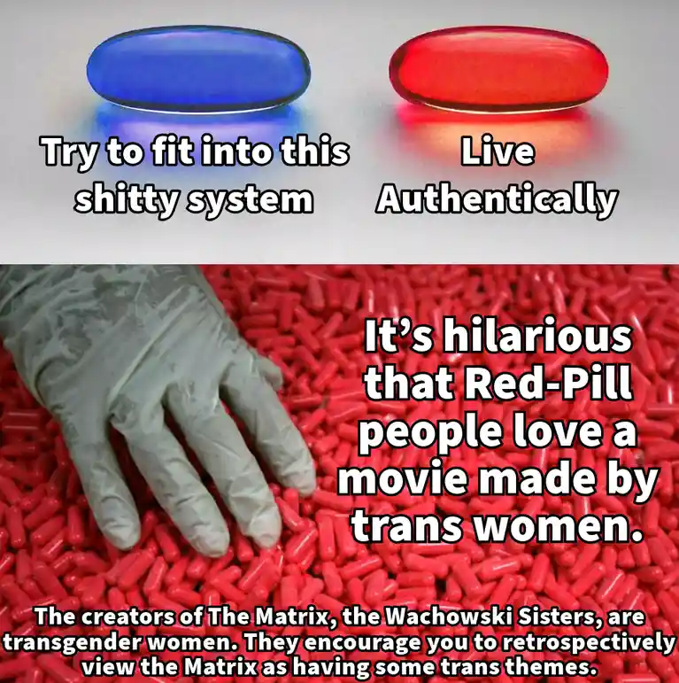 The image displays two pills, one blue and one red, labeled 'Try to fit into this shitty system' and 'Live Authentically'…