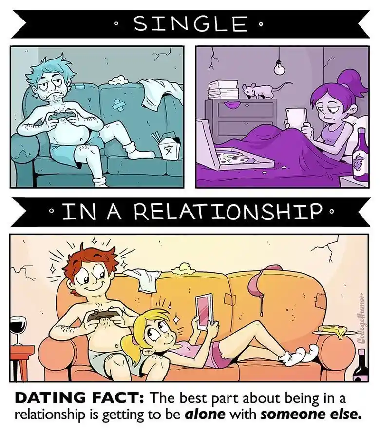 This comic strip contrasts two panels: the top shows a messy, lonely single person on a couch playing a game, while the…