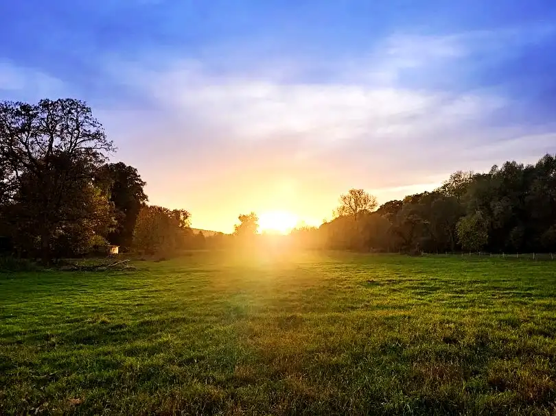 A serene landscape photo of a grassy field at sunrise or sunset, with the sun low on the horizon casting a warm glow and…