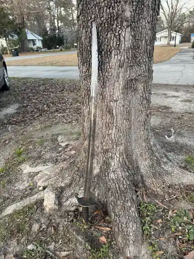 A vintage-style sword with a brass hilt and scabbard is stuck vertically into the bark of a large tree trunk in a…