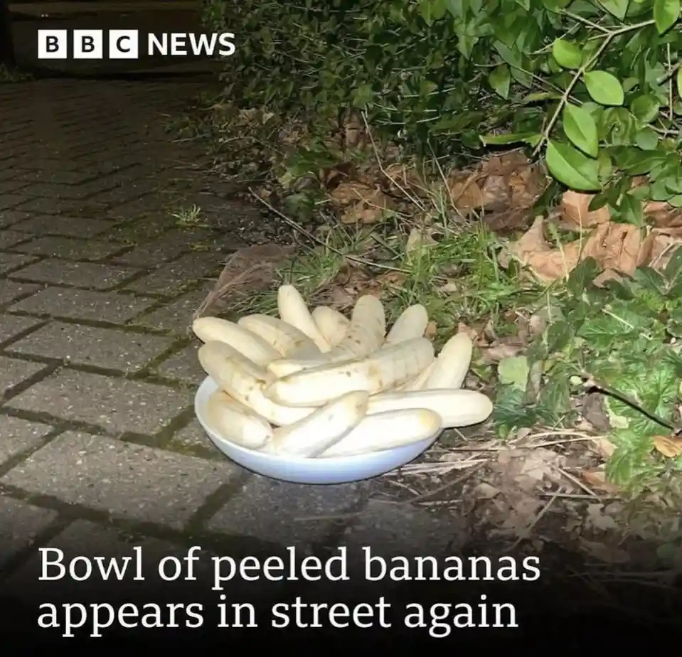 A white bowl filled with peeled bananas sits on a paved sidewalk next to green bushes and fallen leaves at night. The image…