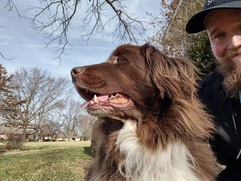 A man with a beard and cap is partially visible on the right, holding a large brown and white long-haired dog that is…