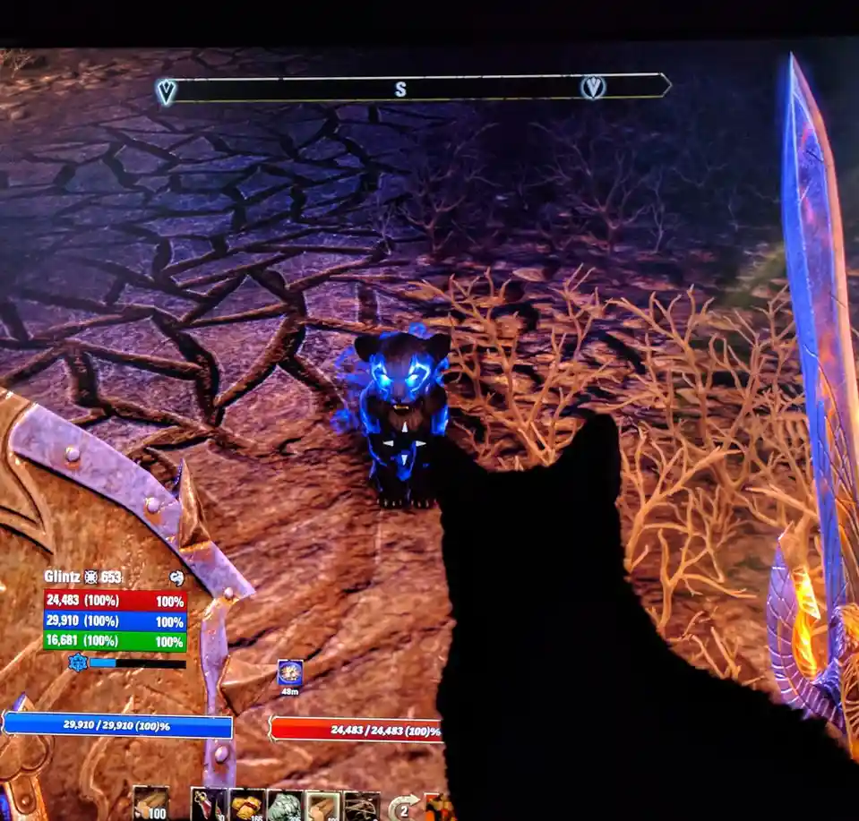 A black cat's silhouette is visible in front of a computer monitor displaying a video game. The game shows a glowing blue…