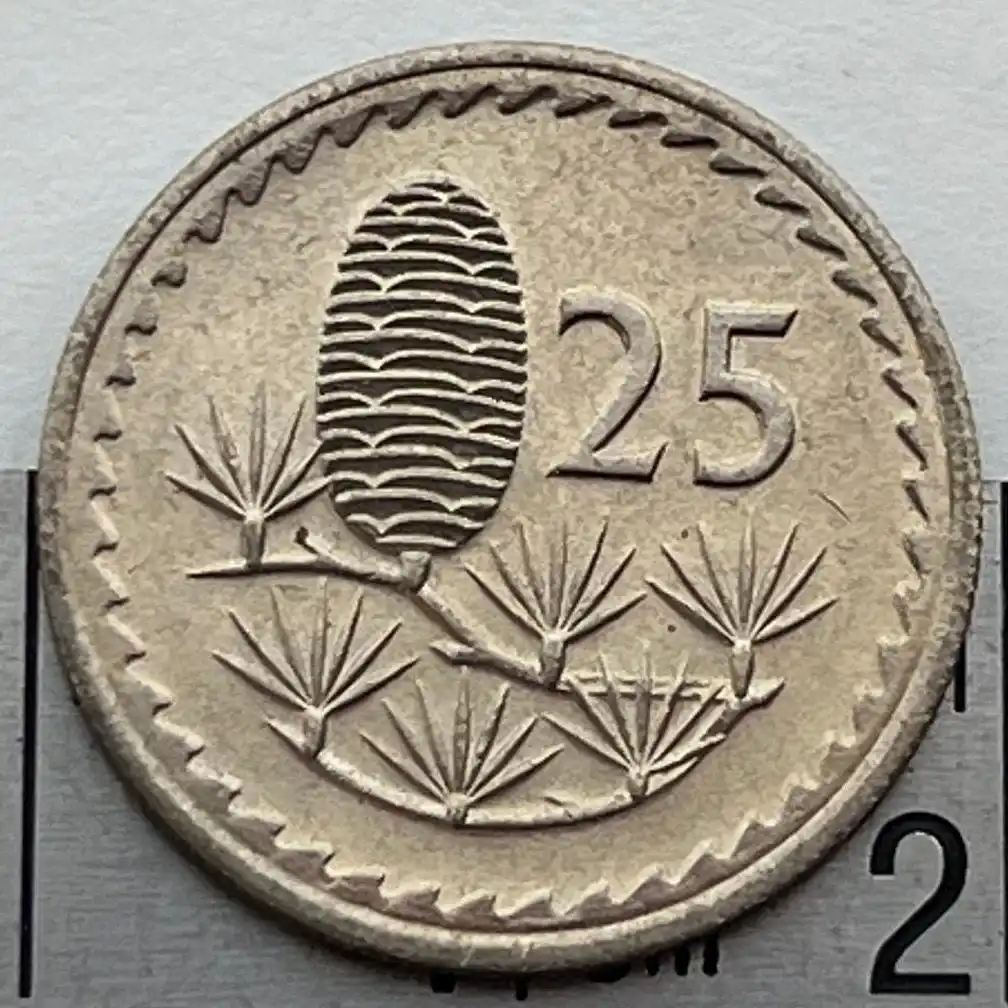 A close-up photo of a Japanese 25 yen coin, showing its pinecone and pine branch design, resting on a ruler with the number…