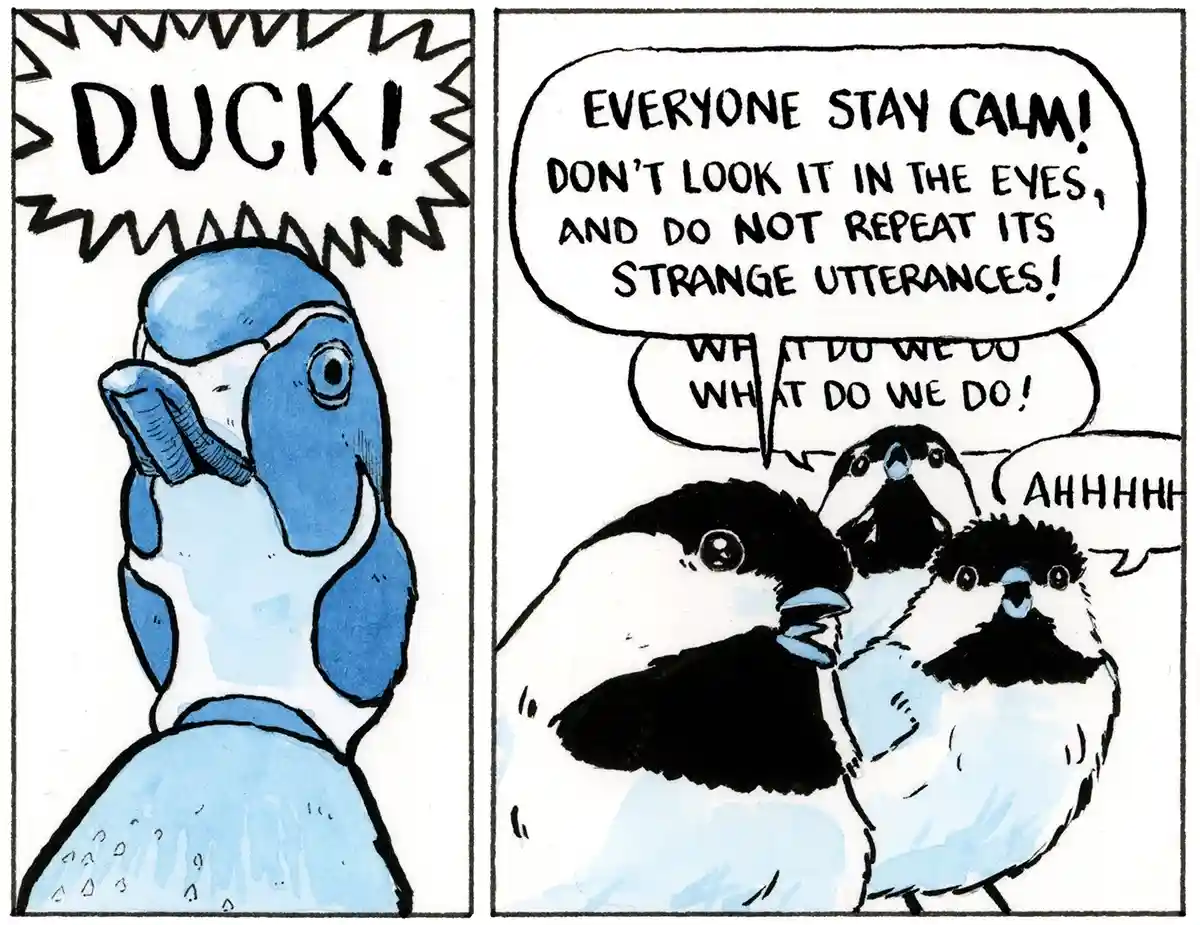 A two-panel comic strip featuring cartoon birds. In the left panel, a blue bird shouts 'DUCK!' in a jagged speech bubble. In…