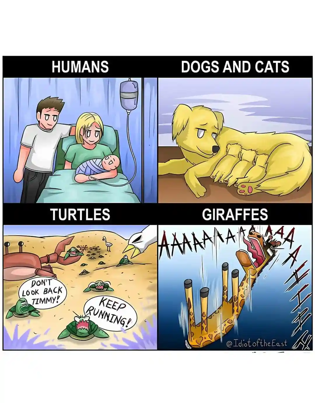 This four-panel comic compares how different species react to danger or stress. Top left shows humans calmly holding a…