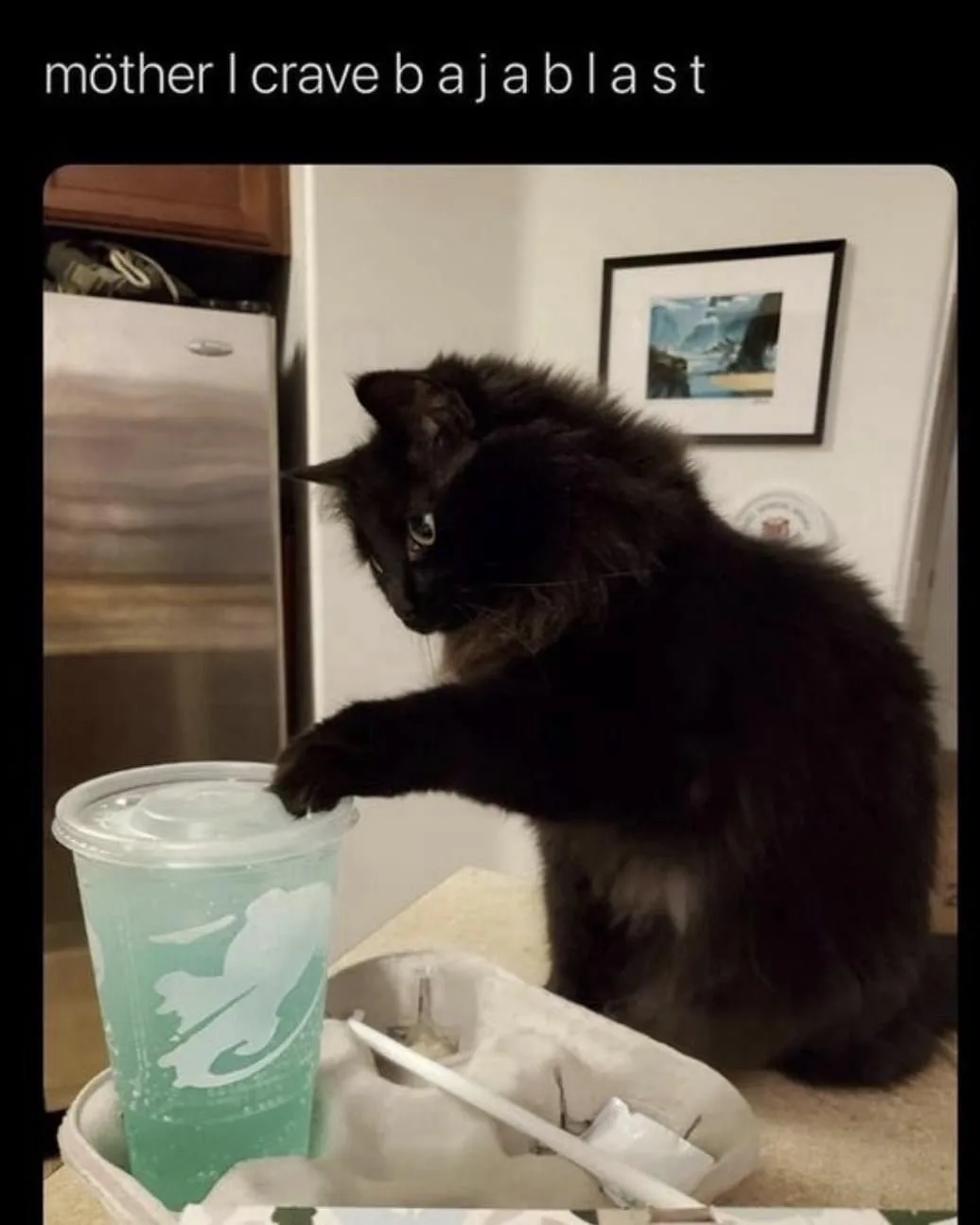 A fluffy black cat sits on a kitchen counter, reaching with its paw toward a green Slurpee cup in a white styrofoam tray…