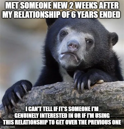 A black bear with a pensive, slightly sad expression rests its paws on a log. White bold text overlaid on the image reads…