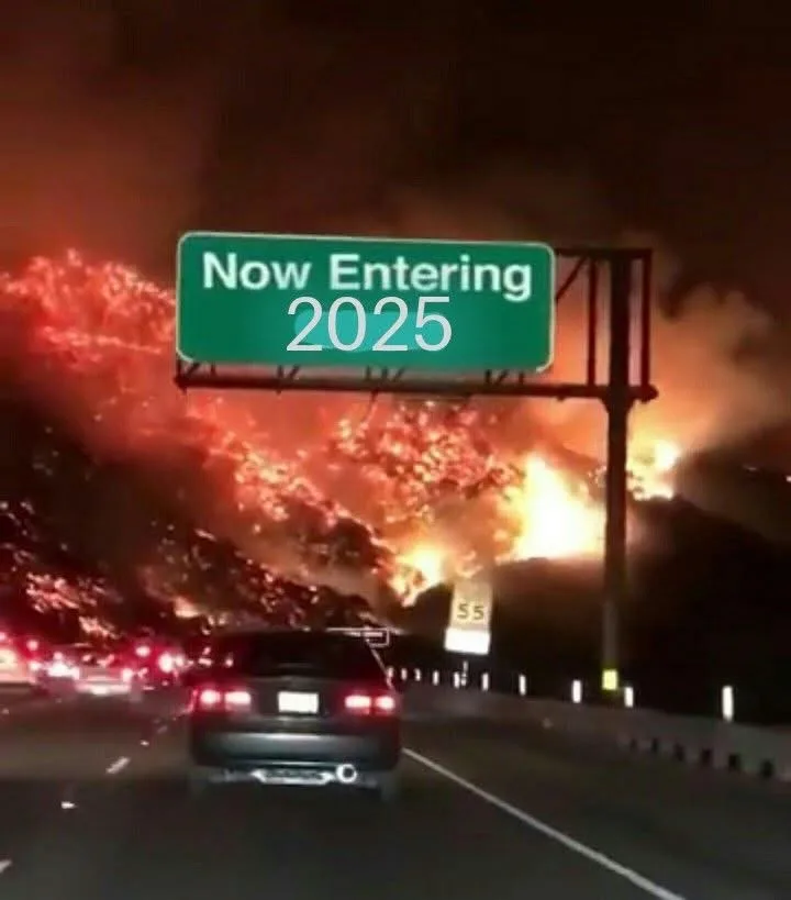 A Generous Collection of Stolen Memes for These Challenging Times: Volume 1638