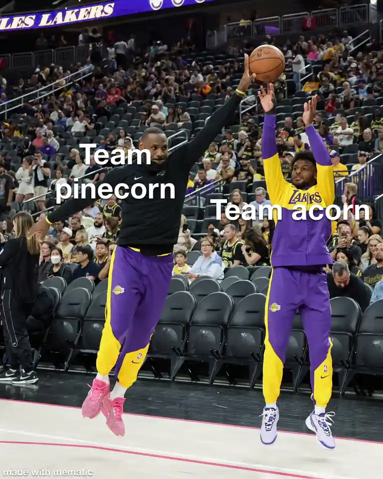 Two basketball players in Lakers gear jump for a ball, with text overlaid labeling one 'Team pinecorn' and the other 'Team…