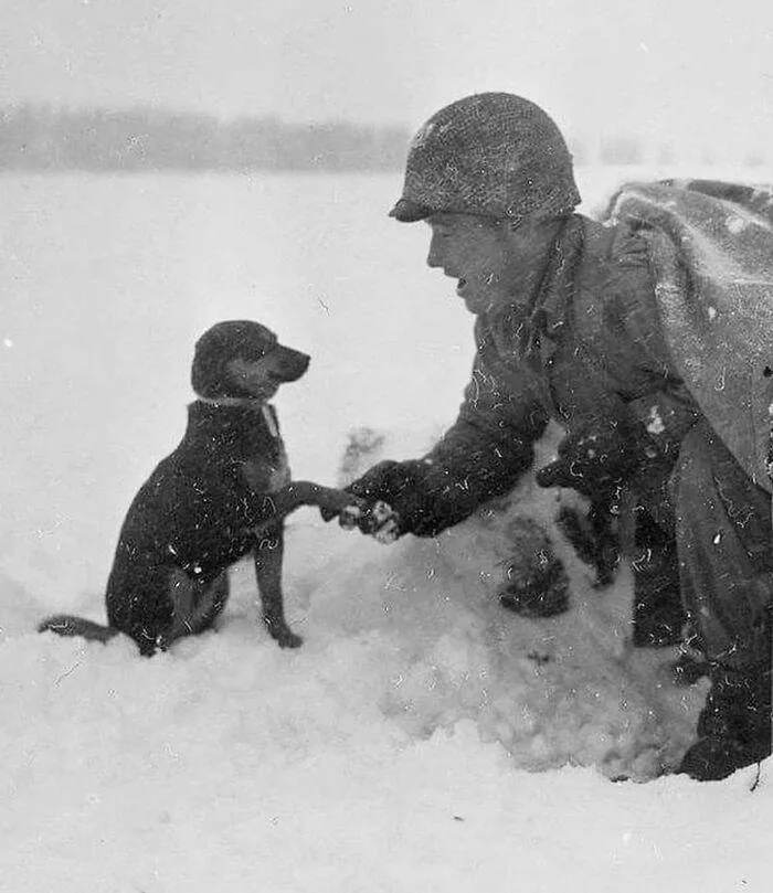 A black-and-white historical photo shows a soldier in winter gear kneeling in snow, gently holding the paw of a small dog…
