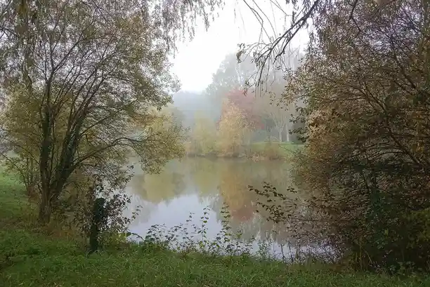A serene, misty autumn scene showing a calm lake surrounded by trees with yellow and red leaves, their reflections visible…
