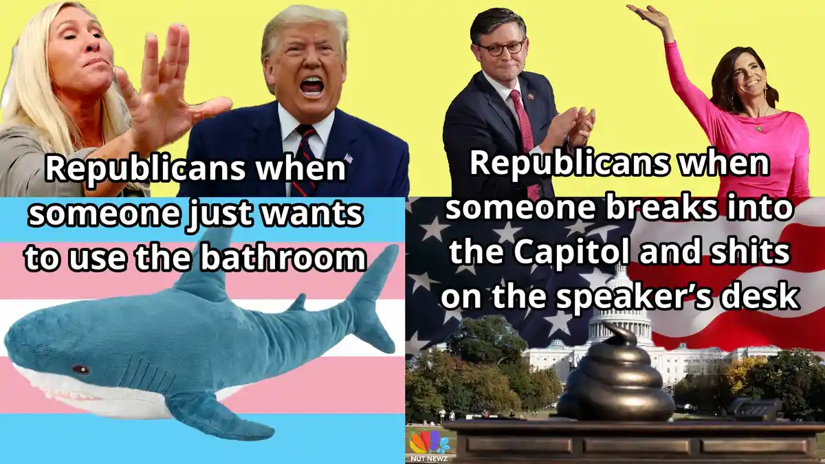 The image is split into two panels. The left panel shows a plush shark on a trans flag background with text reading…