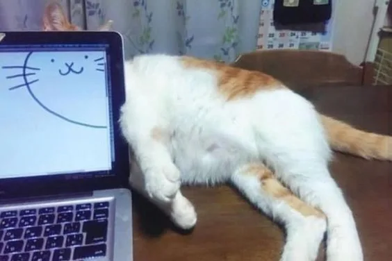 a white and orange cat is lying on a wooden desk, its body stretched out next to an open laptop. The laptop screen displays…