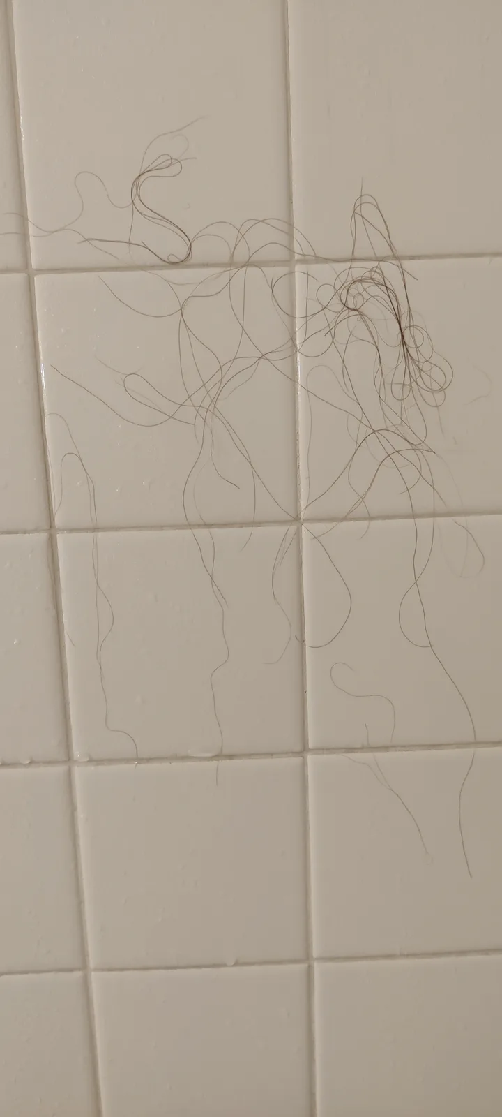 A close-up photo shows numerous brown human hair strands scattered across wet, off-white square bathroom tiles, forming a…