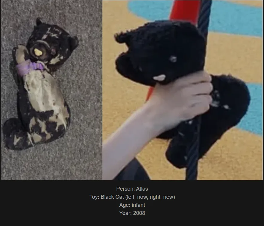 The image is a split-screen showing a worn, dirty black cat stuffed toy on the left and a hand holding a pristine black cat…