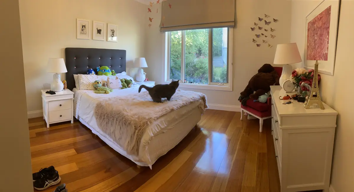 A dark gray cat stands on a bed covered with a fluffy white blanket, looking out a window. The bedroom is decorated with…