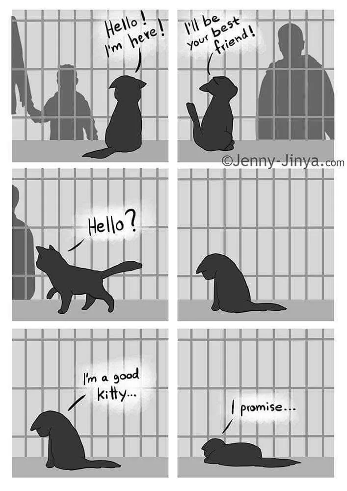 A six-panel black-and-white comic strip shows a dog enthusiastically greeting a human behind bars, promising to be their…