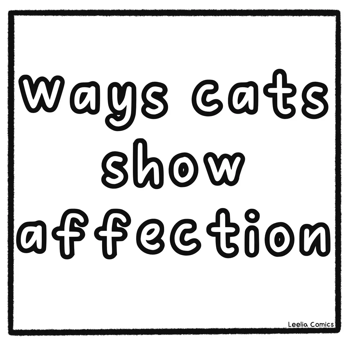 The Warmth of Feline Affection
