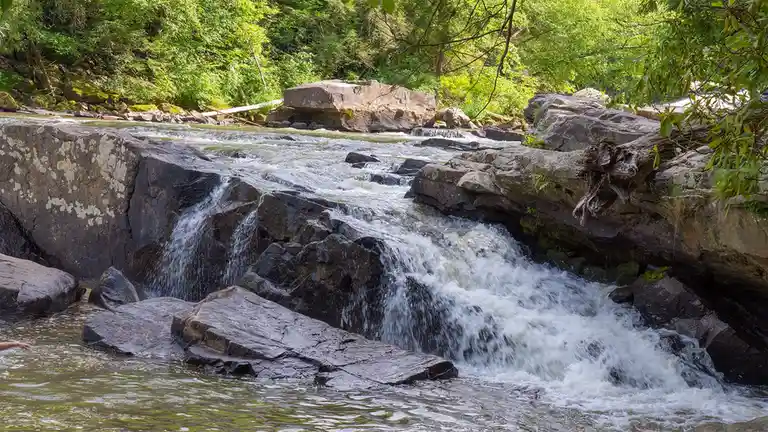 A scenic photo of a river flowing over dark, mossy rocks with a small waterfall, surrounded by lush green trees. In the…