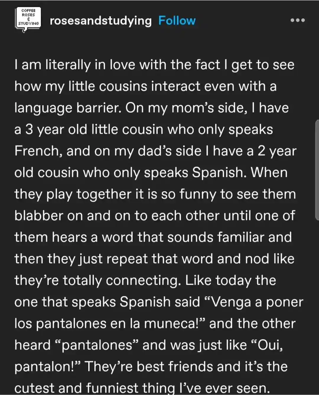A screenshot of a social media post by 'rosesandstudying' describing how two young cousins—one speaking only French and the…
