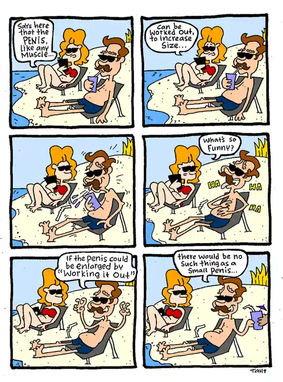 A six-panel comic strip shows a man and woman relaxing on beach chairs. The man reads a pamphlet and jokes that if penises…