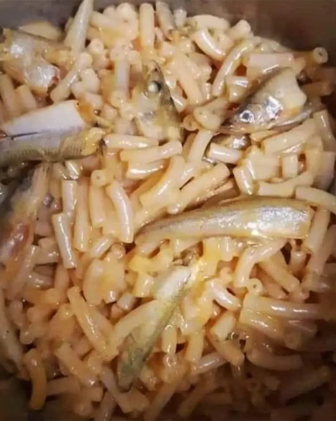 a close-up photo of macaroni pasta mixed with whole small fish, likely sardines or anchovies, coated in a sauce. the text…