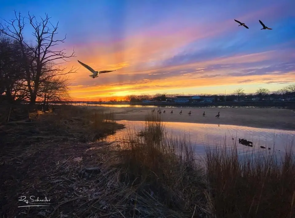 A serene sunset photograph shows birds flying over a calm body of water with reeds and bare trees in the foreground. Several…