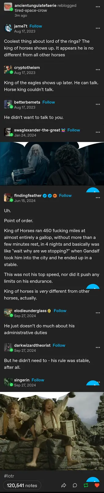 The image shows a screenshot of a Tumblr thread discussing the 'King of Horses' from Lord of the Rings. The thread includes…