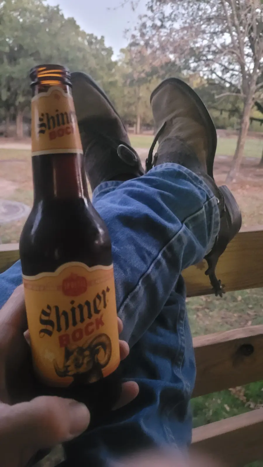 The End of the Day: Reflections and Relaxation