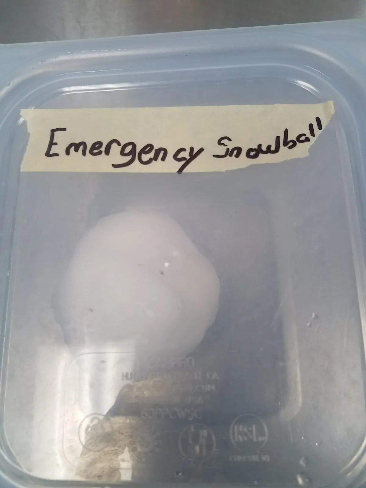 A clear plastic container holds a single, slightly misshapen snowball, with a handwritten label taped to the lid that reads…