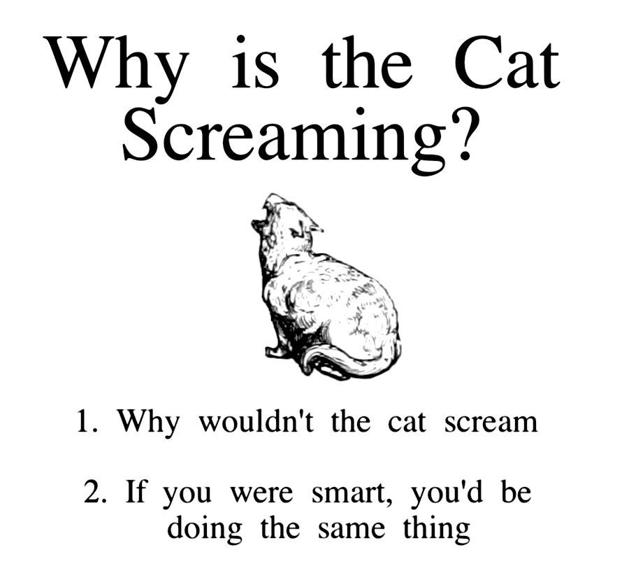 A black and white sketch of a cat sitting upright with its mouth open as if screaming. Above it, large text asks 'Why is the…