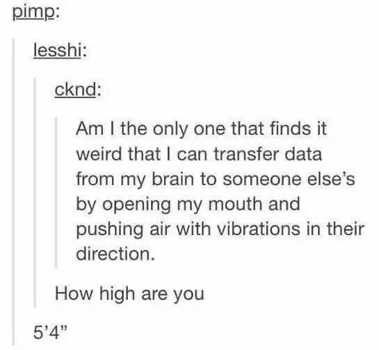 A text-based meme showing a Discord-style chat where 'cknd' questions why it's weird to transfer data via mouth vibrations…