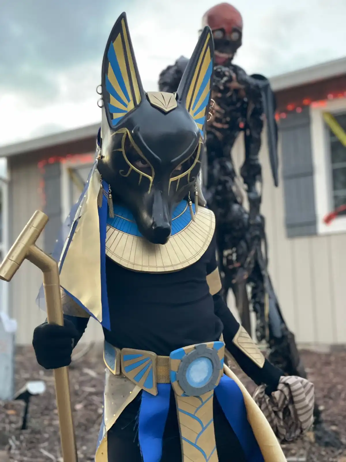 A person in a detailed Anubis costume, featuring a jackal head with blue and gold stripes, a blue collar, and holding a…