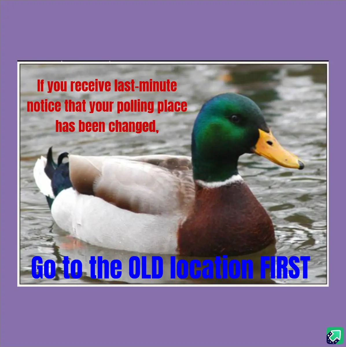 A mallard duck with a green head and yellow beak floats calmly in water. Red text at the top reads 'If you receive…