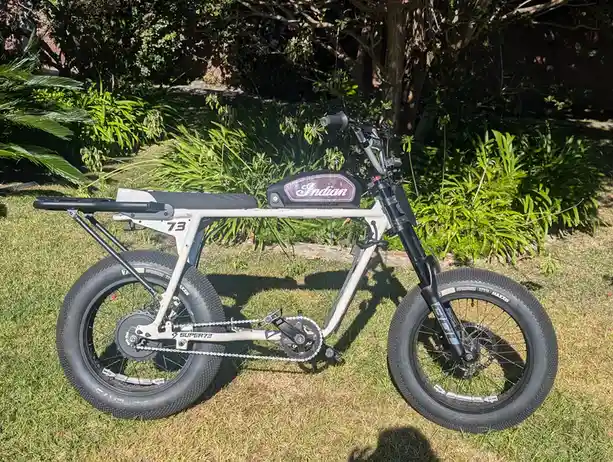 A custom electric bicycle with a white frame, thick black tires, and a black seat, parked on grass with green foliage in the…